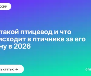 Обложка: Кто такой птицевод и что происходит в птичнике за его смену в 2026