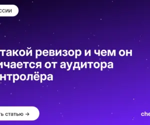 Обложка: Кто такой ревизор и чем он отличается от аудитора и контролёра