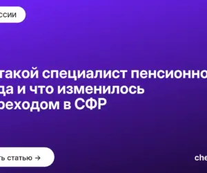 Обложка: Кто такой специалист пенсионного фонда и что изменилось с переходом в СФР